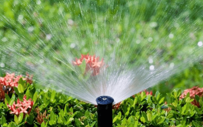 Watering and Irrigation