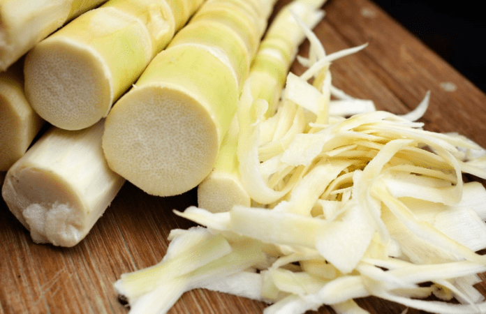 Bamboo Shoots