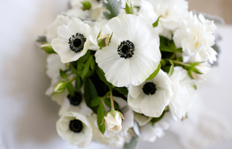 White Flowers with Black Accents