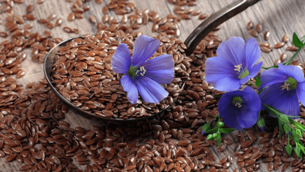 flax seeds for planting