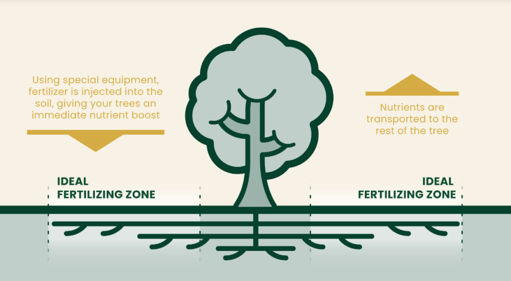 understanding fertilizer