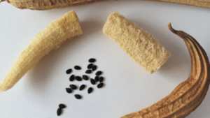 luffa plant seeds