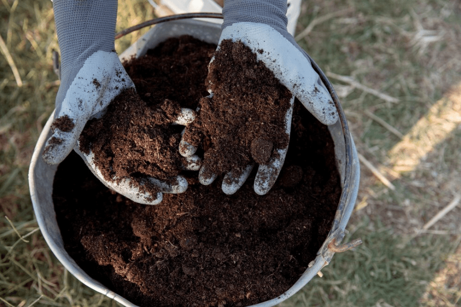 handful soil