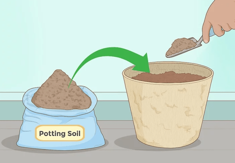 preparing the soil