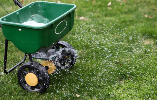 watering, fertilizing, and weed control.