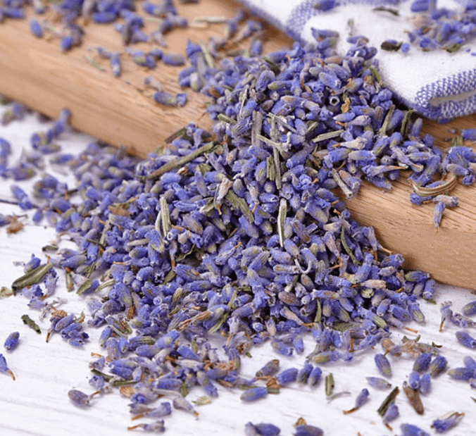 Benefits of Growing Lavender