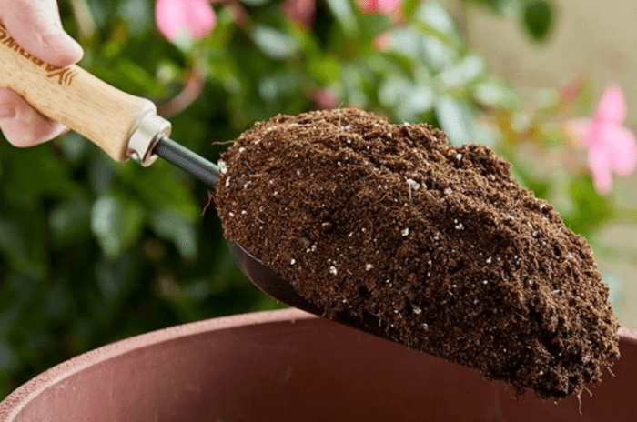 Best soil types