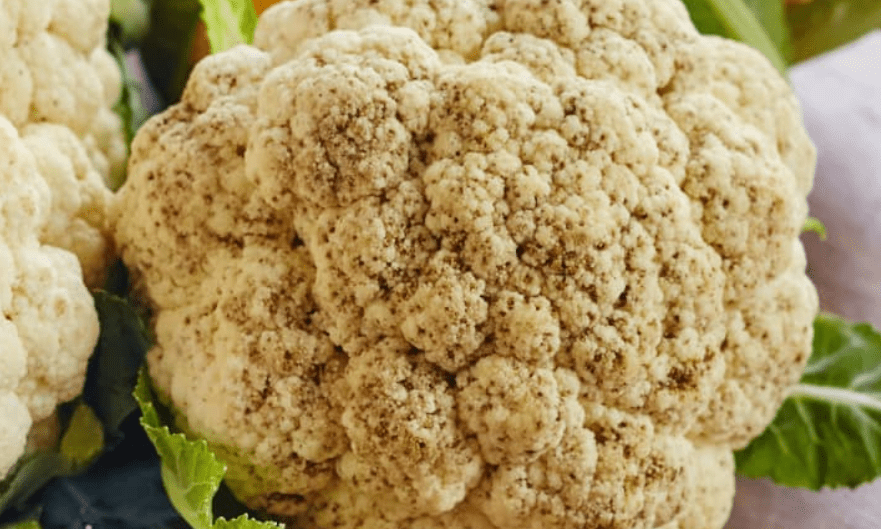 Causes of Black Spots on Cauliflower