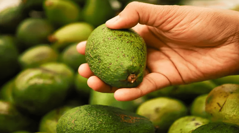 Choosing a ripe avocado