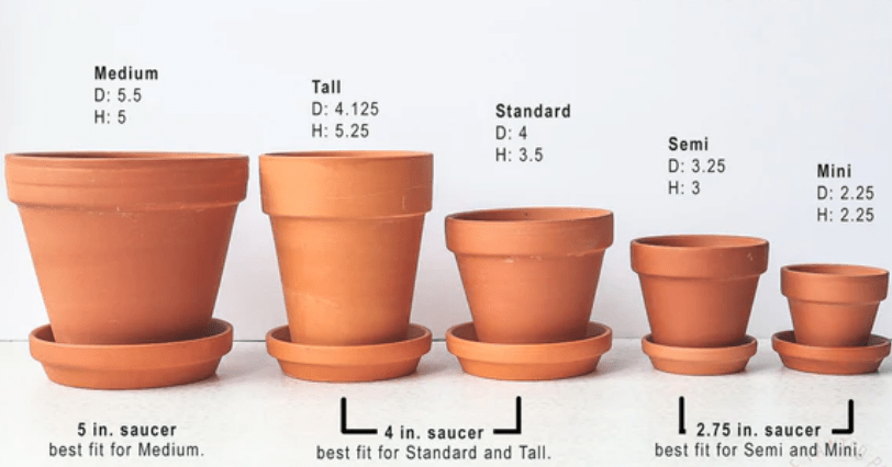 Choosing the right container