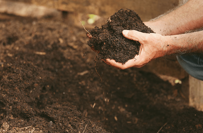 Improving Soil Conditions