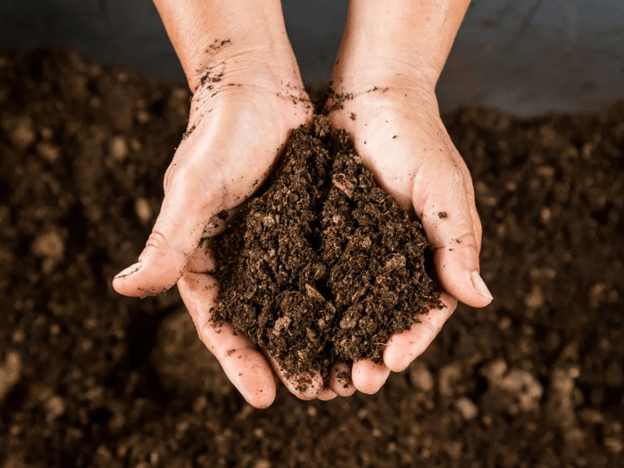 Preparing the soil