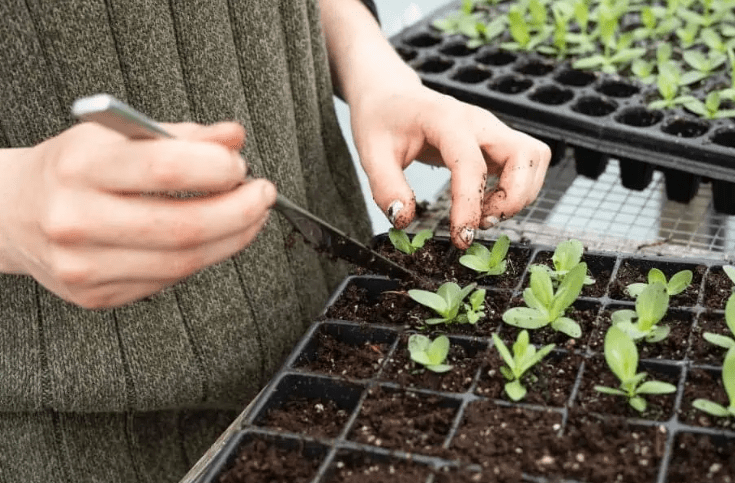 Propagation Techniques