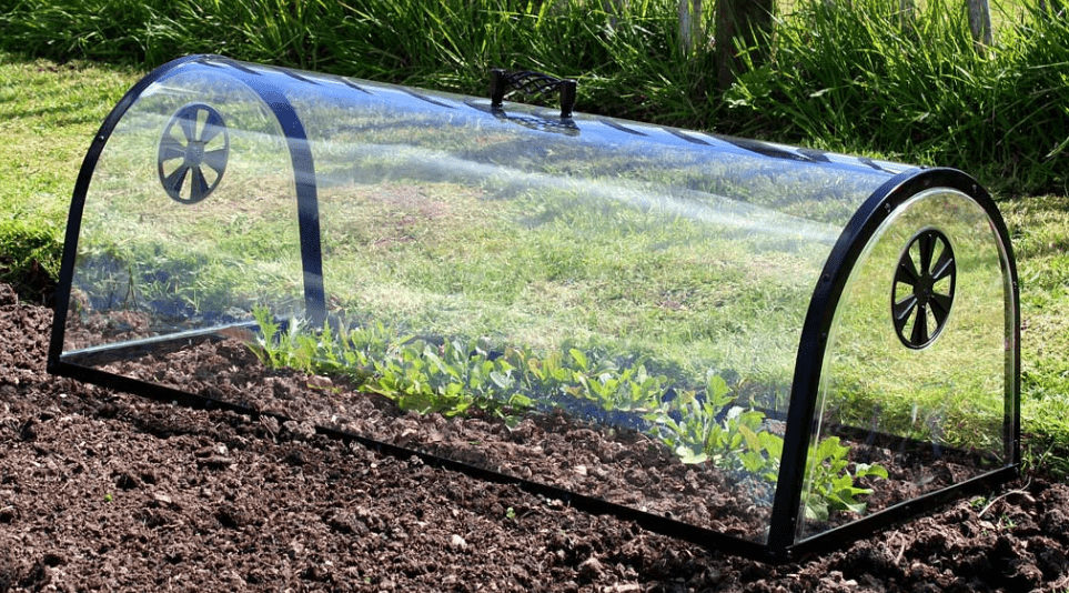 Cloches Garden: How to Use Cloches for Plant Protection