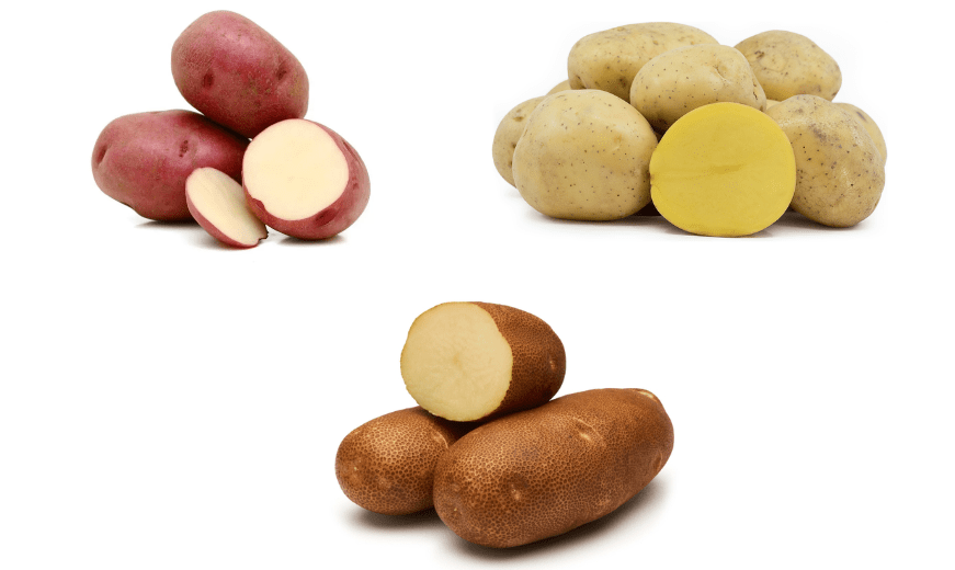 Varieties of potatoes sprout 