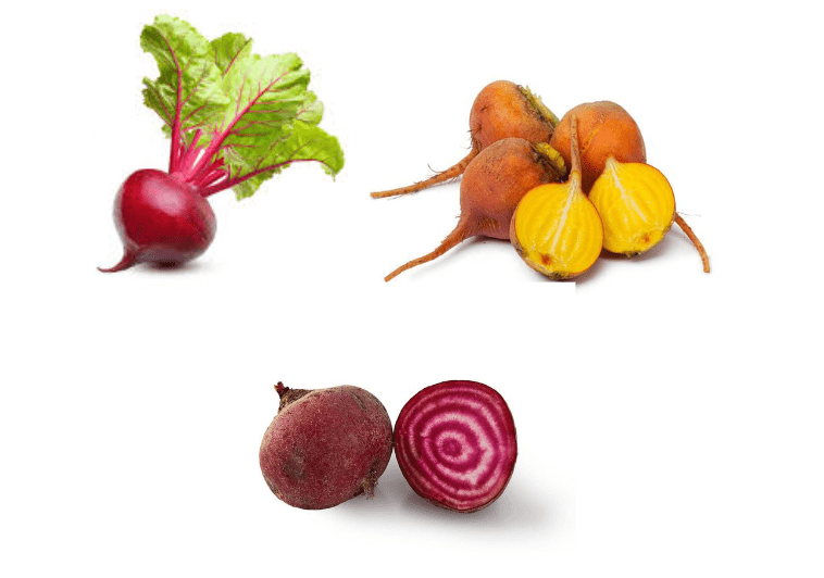  Popular Beet Varieties 