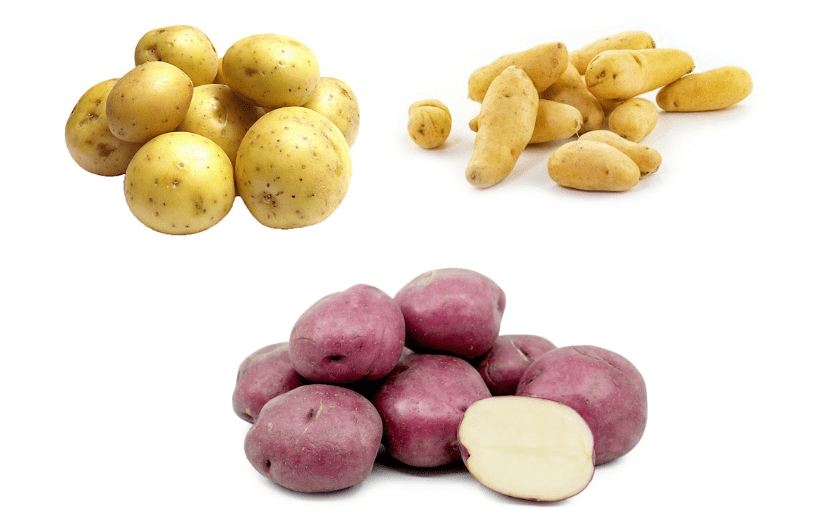 Best potato varieties for grow bags