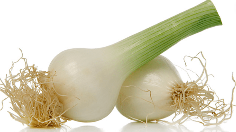 Green Onion Bulbs