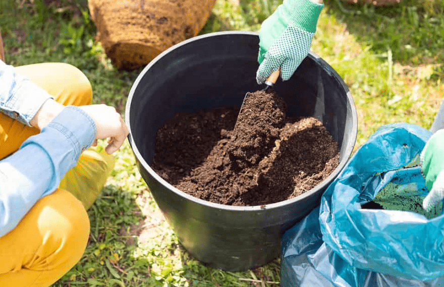 Soil preparation