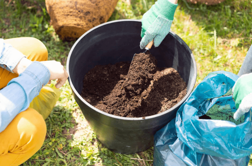 Soil requirements