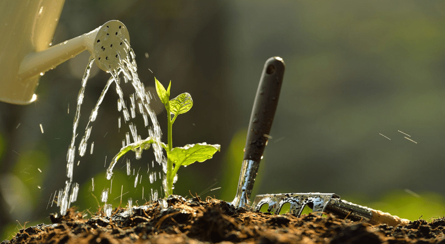 Watering