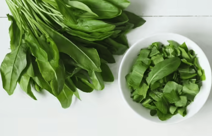 Health Benefits of Sorrel Plant