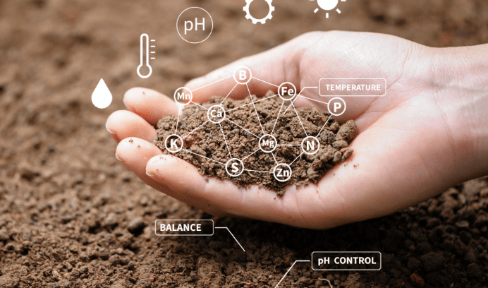 Improving Soil Quality