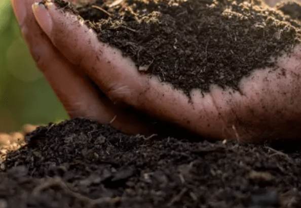 Preparing the Soil