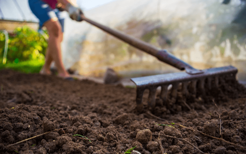 Proper Soil Preparation