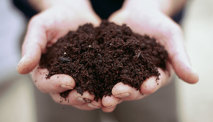 Proper Soil Preparation