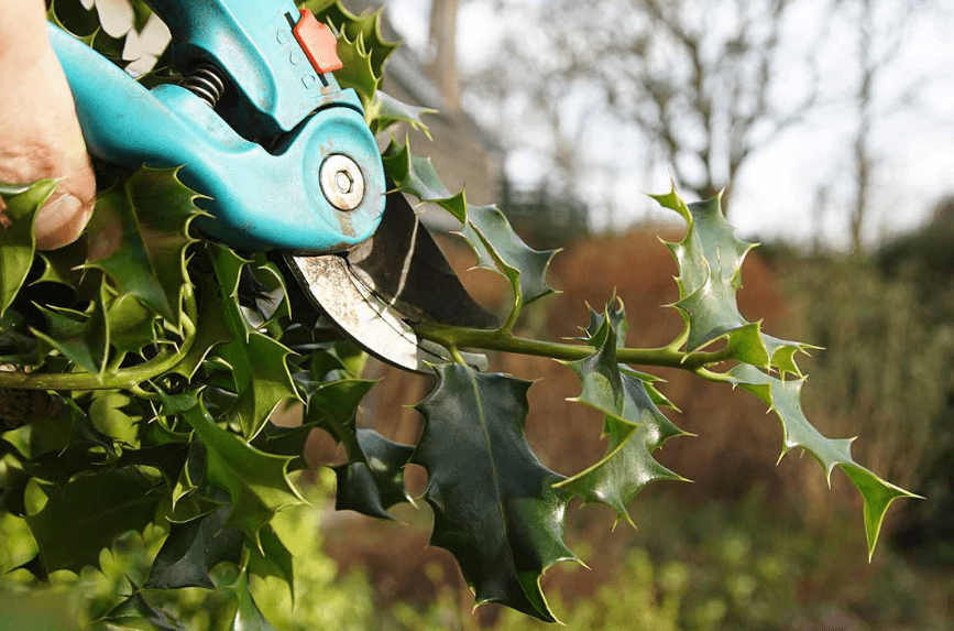 Pruning Techniques