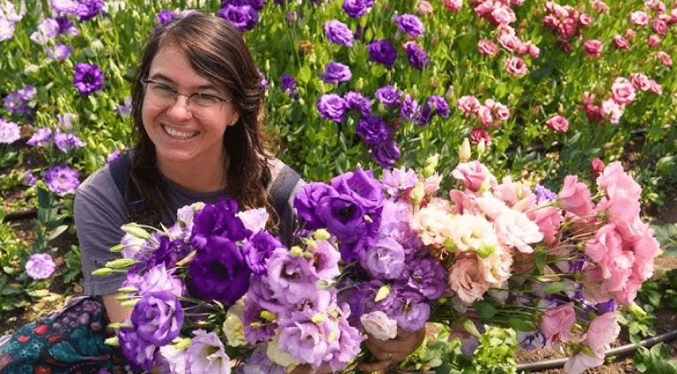 Harvesting Lisianthus Plants