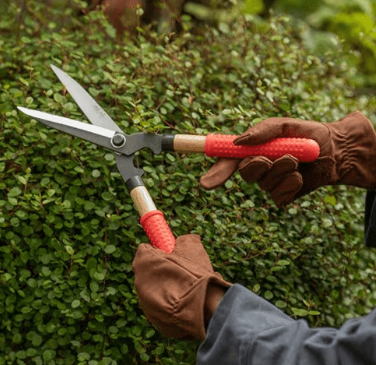 Pruning and deadheading 