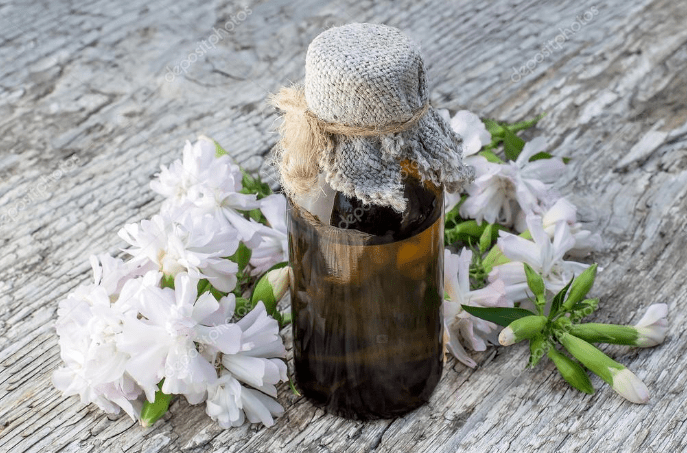 Historical uses in herbal medicine