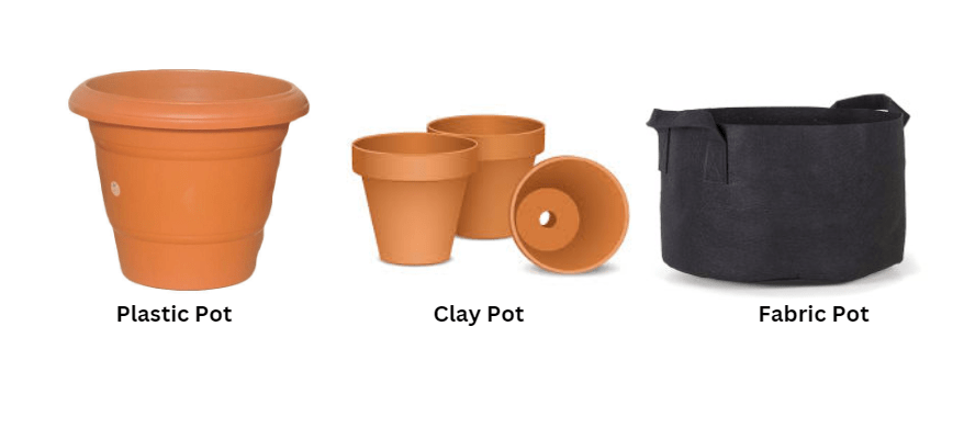 Types of pots: plastic, clay, fabric, etc. 