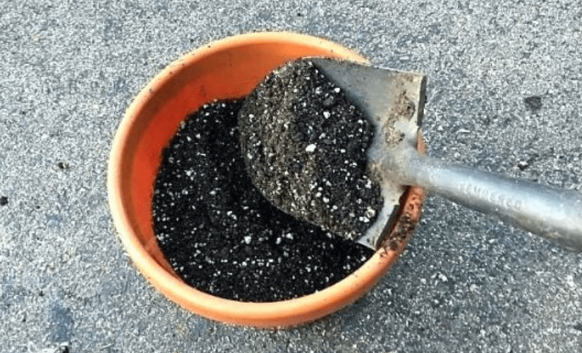  Fill the pot with soil 