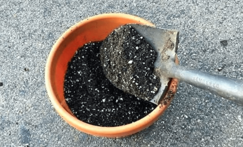 choosing the right soil mix