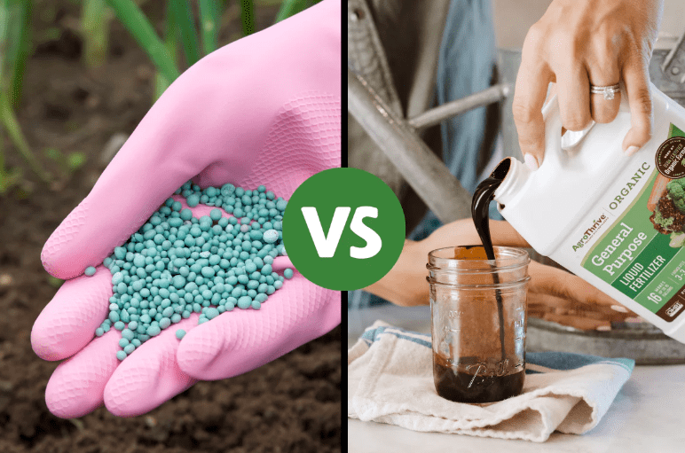 fertilizer (granular vs. liquid) 