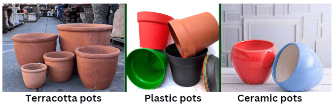  pot materials for Baby Tears Plant Care 