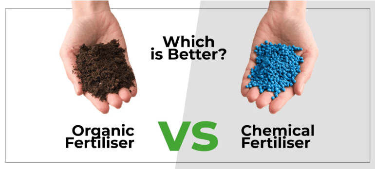 Organic vs. synthetic fertilizers 