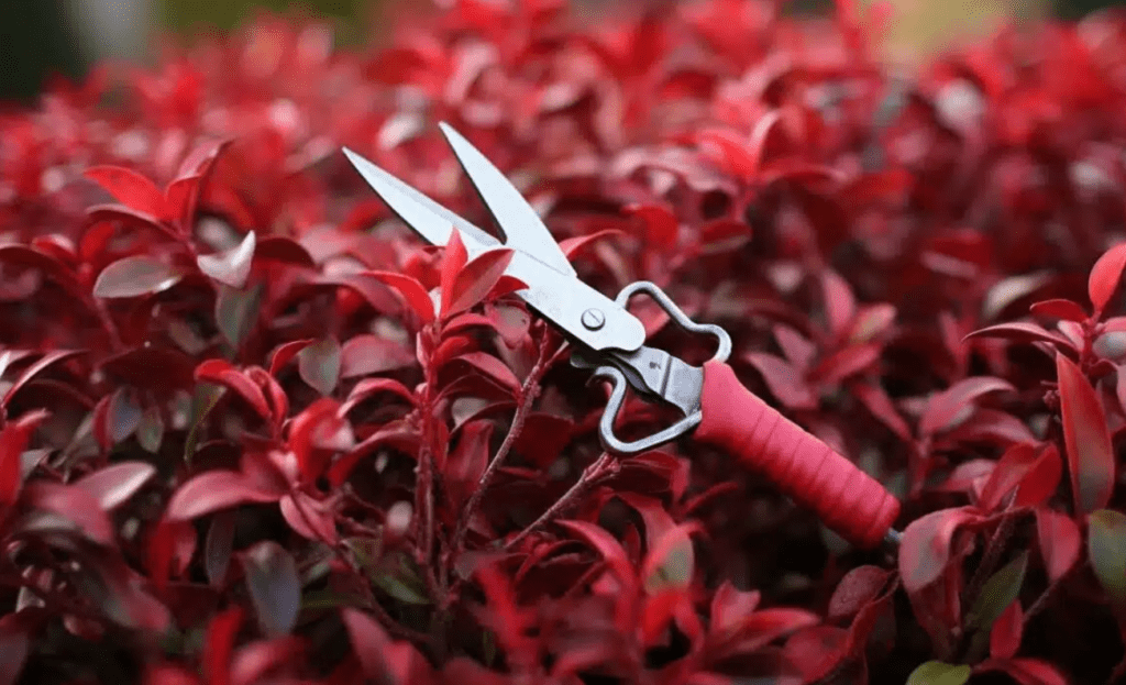 Gardening shears on a bed of red leaves.