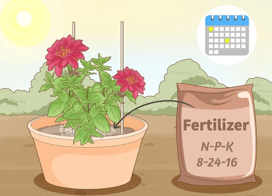 A person demonstrating the process of fertilizing a flower pot using granular fertilizer for optimal plant growth.