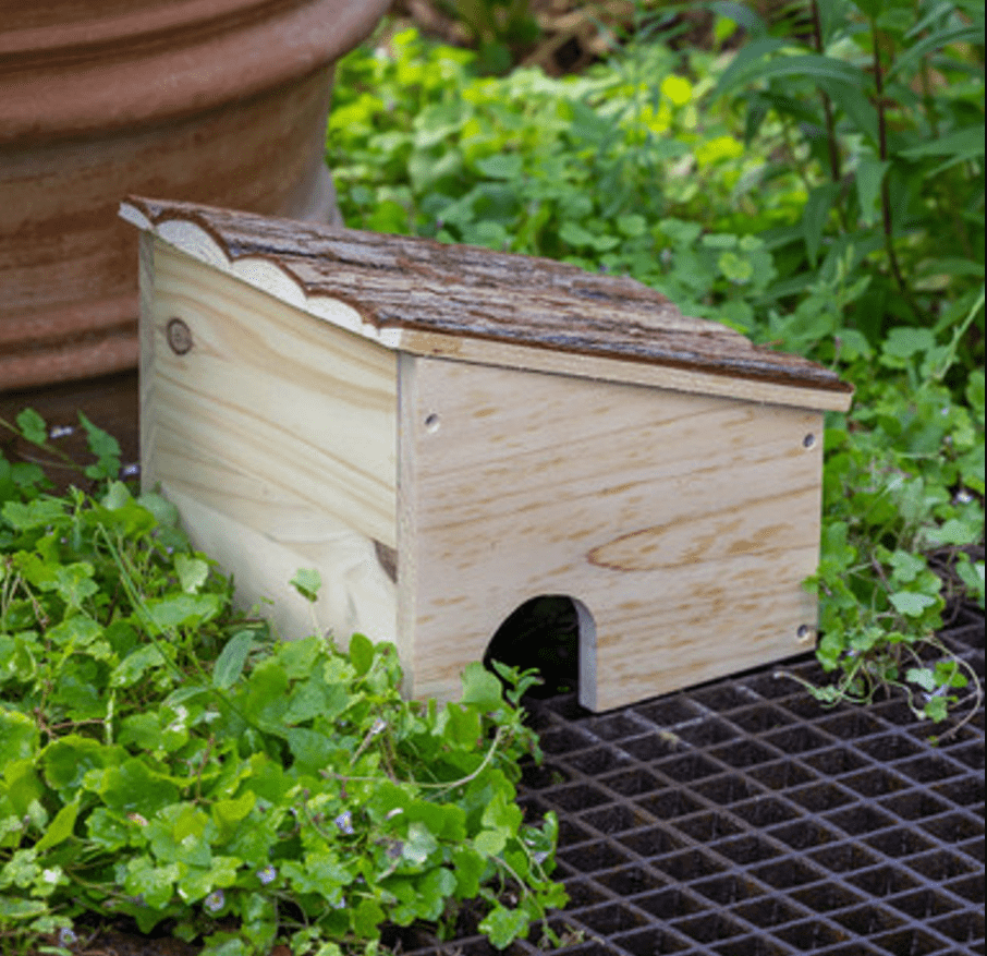 Small wooden hedgehog house in a garden.