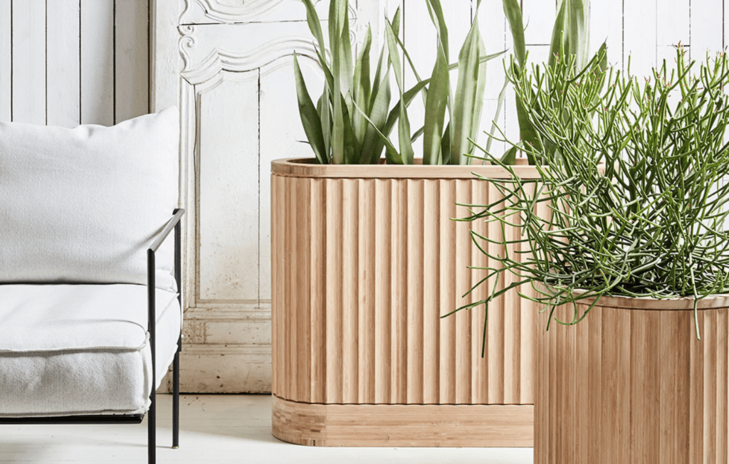 Two wooden planters with green plants against a white vintage backdrop.