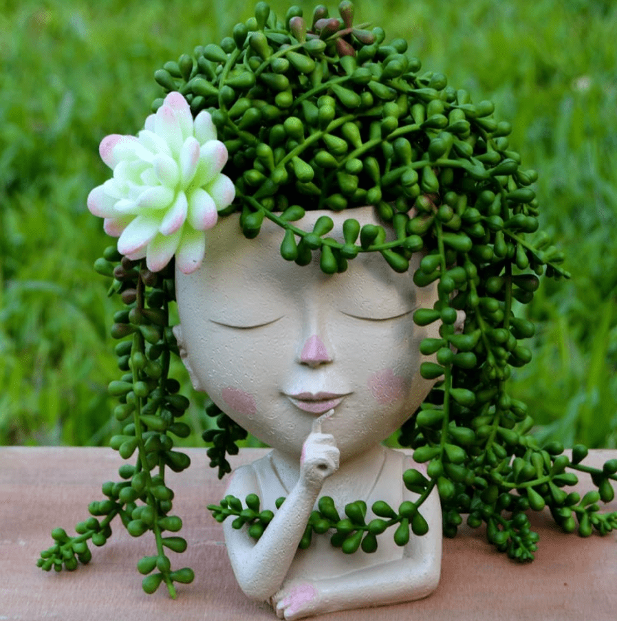 A succulent plant in a white elephant-shaped planter on a wooden surface with a green background.