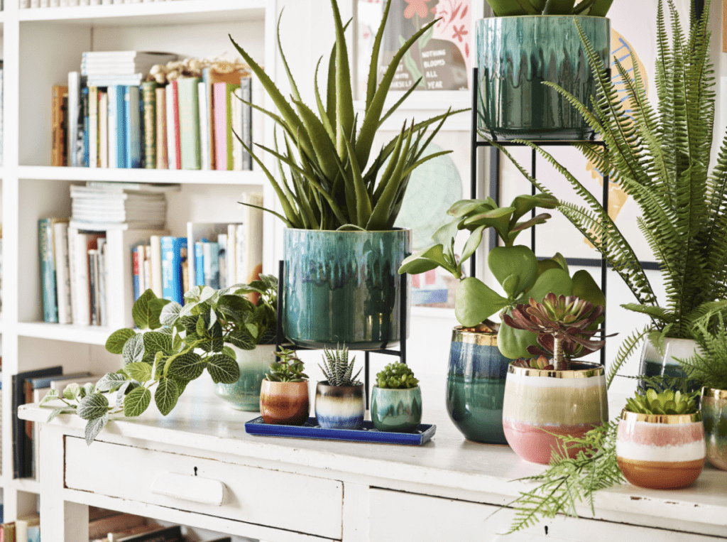 A variety of potted houseplants arranged on a white table and shelves.