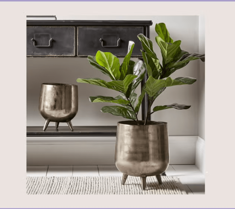 A large plant in a metallic pot beside a smaller empty pot, under a sideboard with drawers.