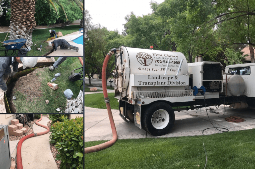 Collage of landscaping work showing workers, equipment, and a tree service truck.