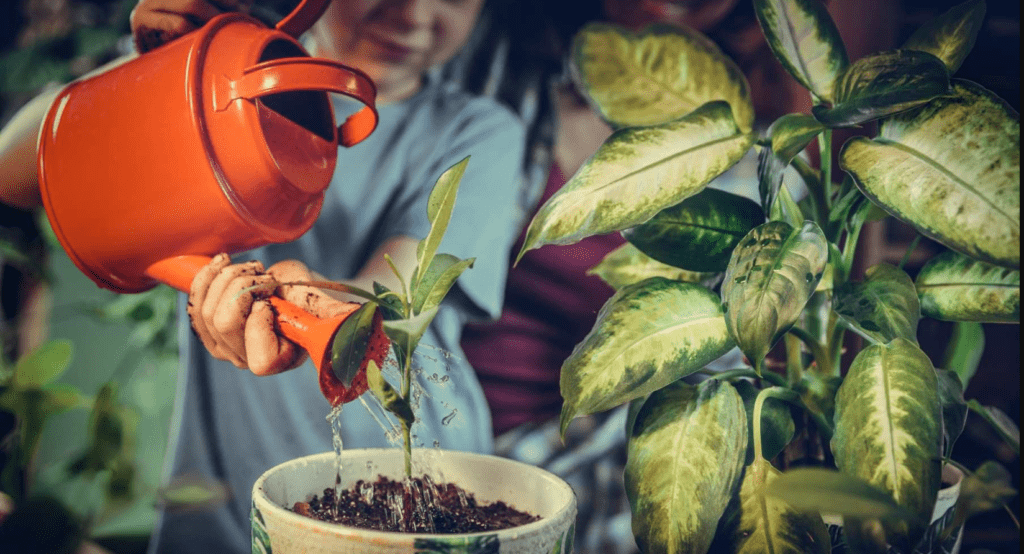 Person watering a young plant with an orange watering can, surrounded by greenery.