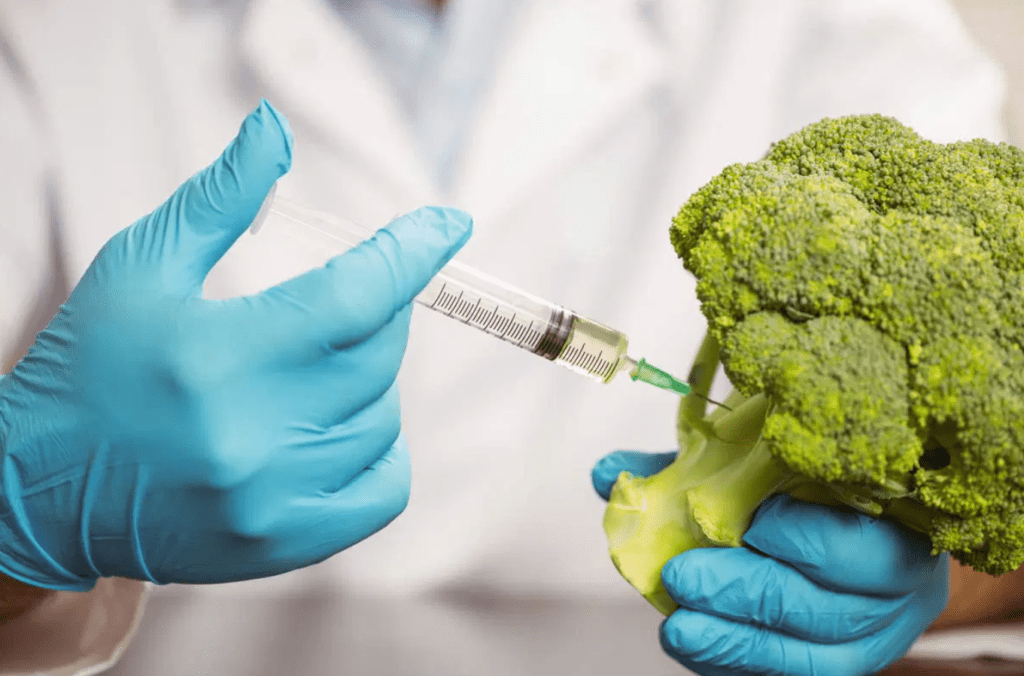 Hands in gloves injecting a syringe into broccoli.